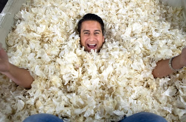 11 Alimentos Diabéticos 9 11 Alimentos Diabéticos 9