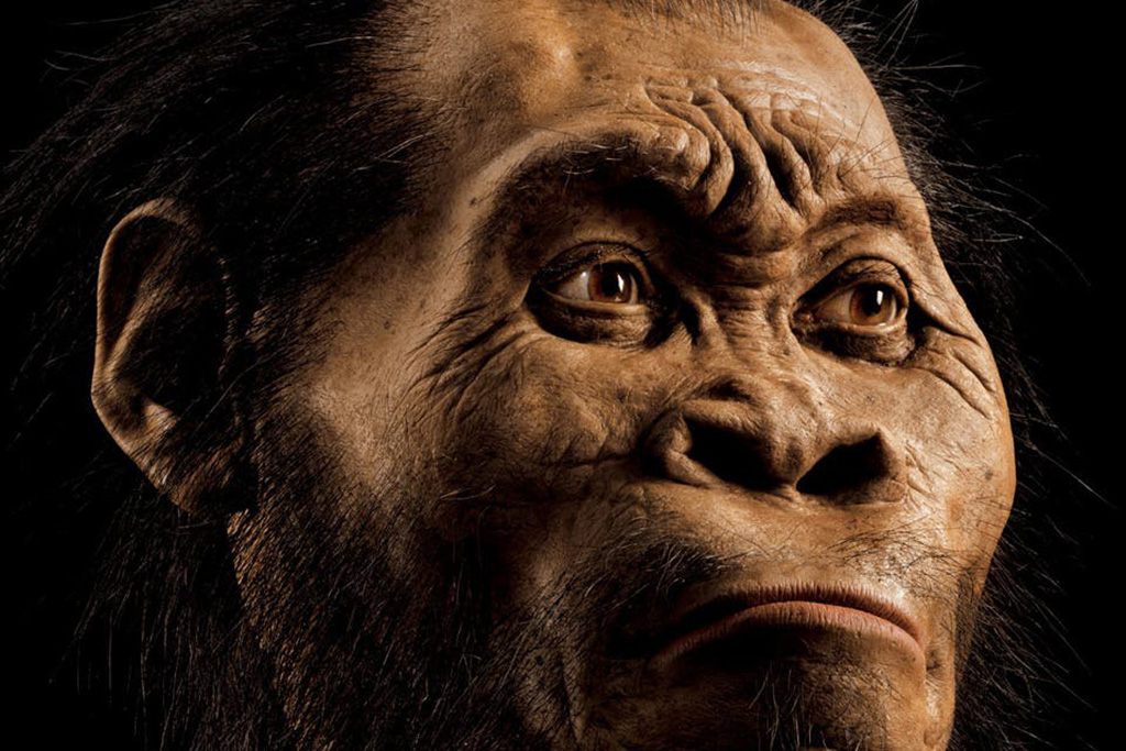 Neanderthal Genes Replica of early human