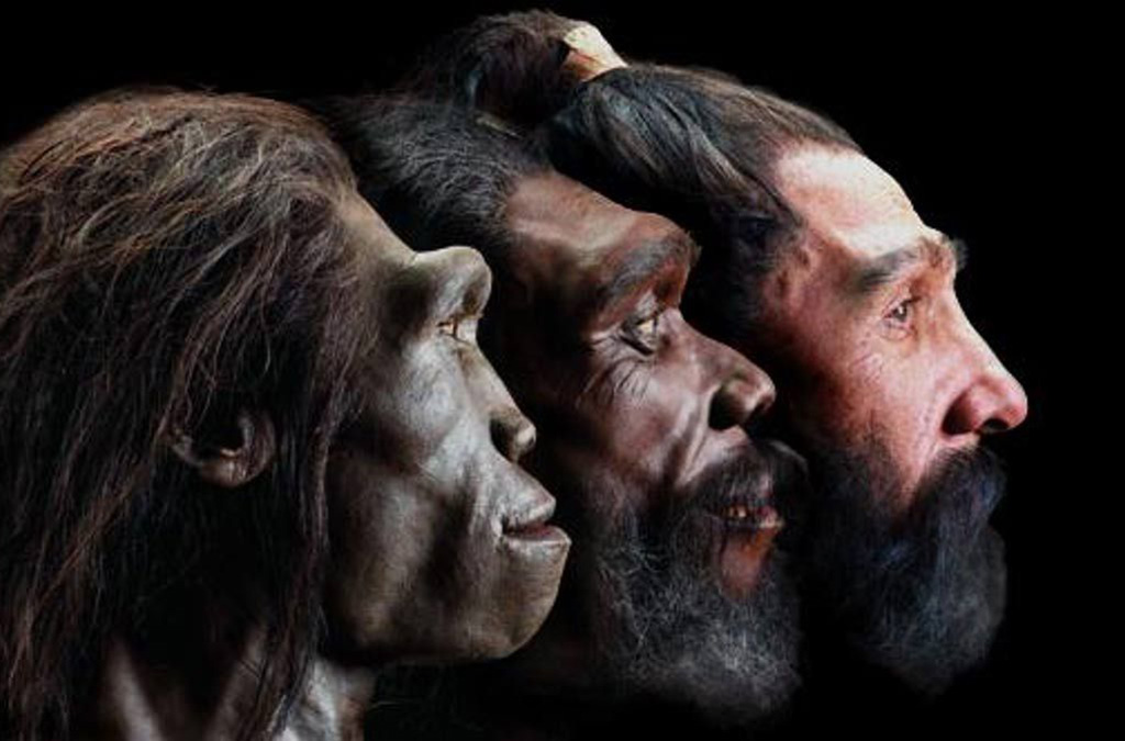 Lighter Skin Transition in skin color