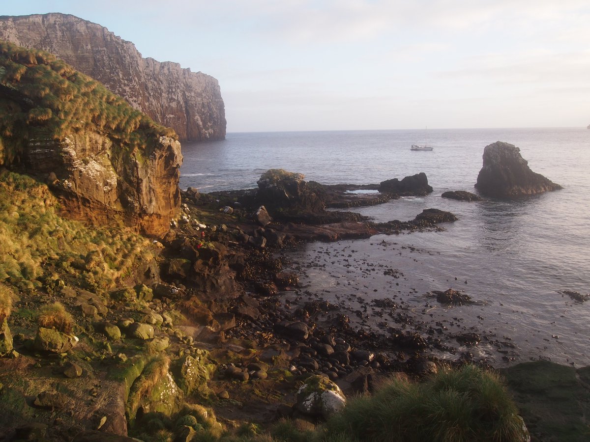 This photo shows the cliff sides of the Antipodes Islands.