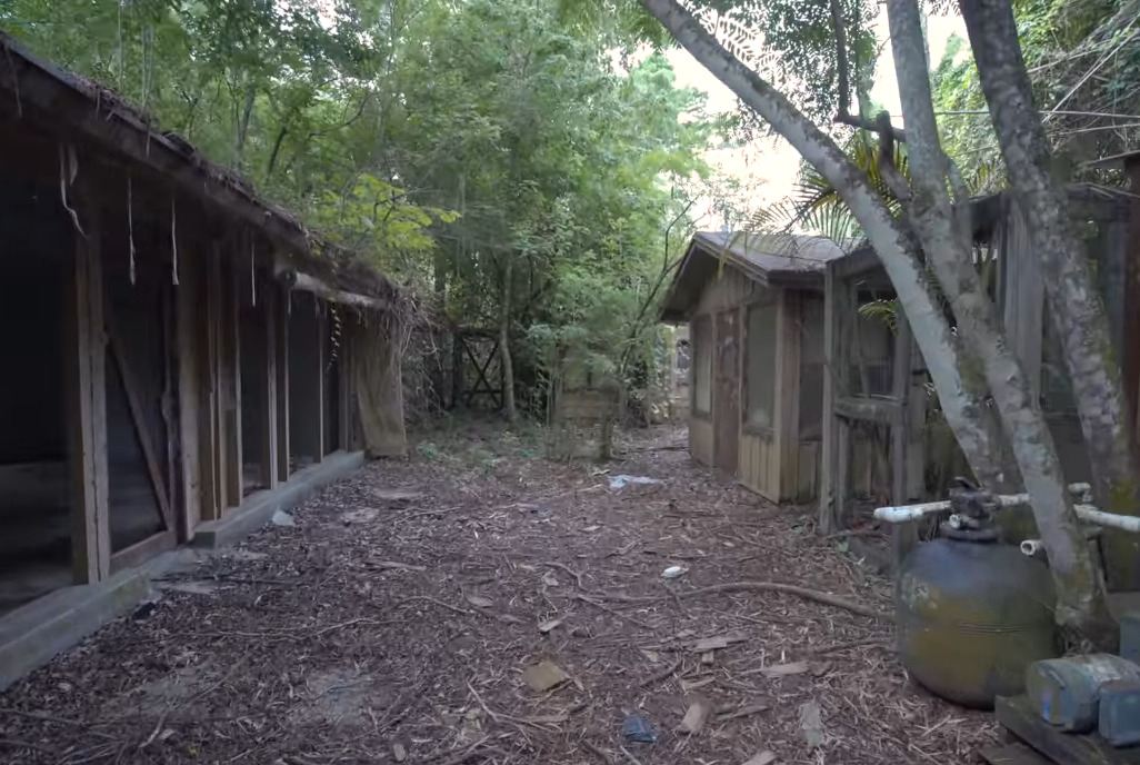 A Youtuber explores the abandoned buildings of Disney's Discovery Island.
