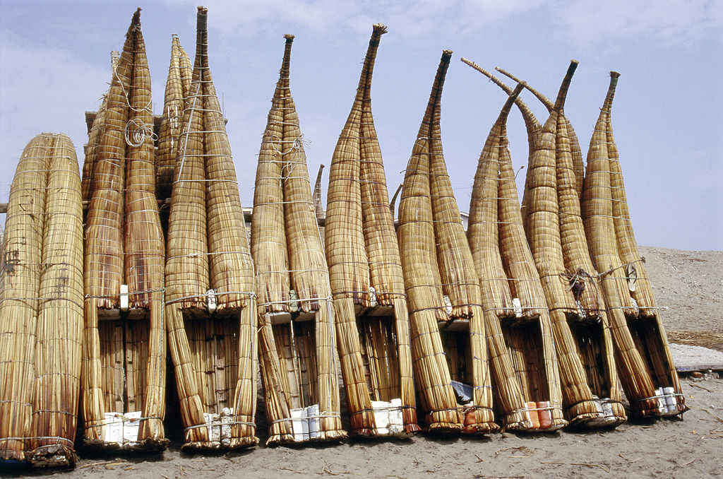 Navigating The Indian Ocean -152199509 Reed boats
