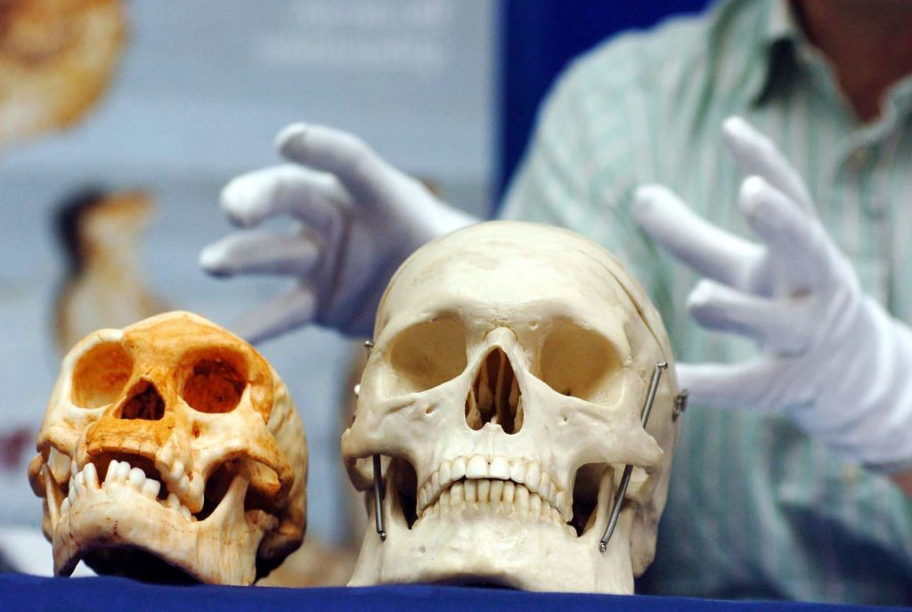 Hobbits -829380892 Hobbit and human skull