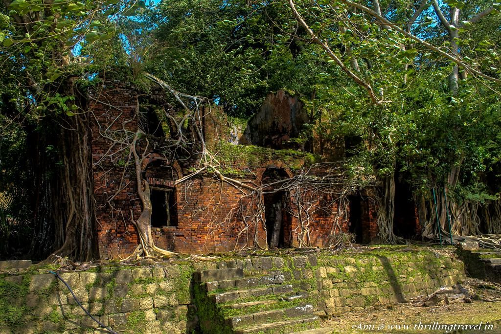 Nature reclaims abandoned structures at Ross Island in India.