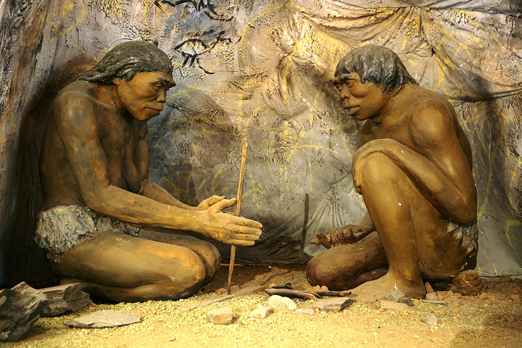Low Genetic Diversity Starting a fire