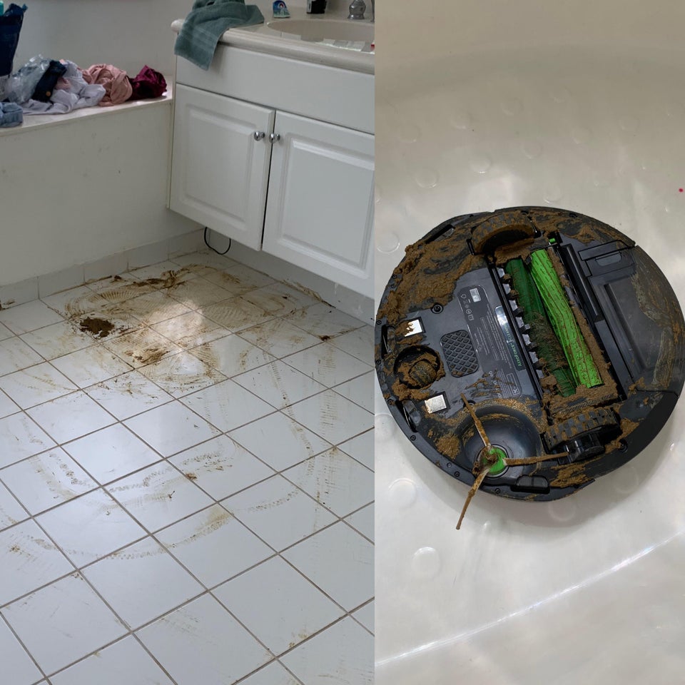 roomba that ran over dog poop