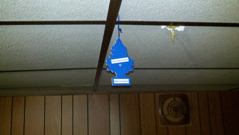 air freshner car air freshner hanging in smelly basement