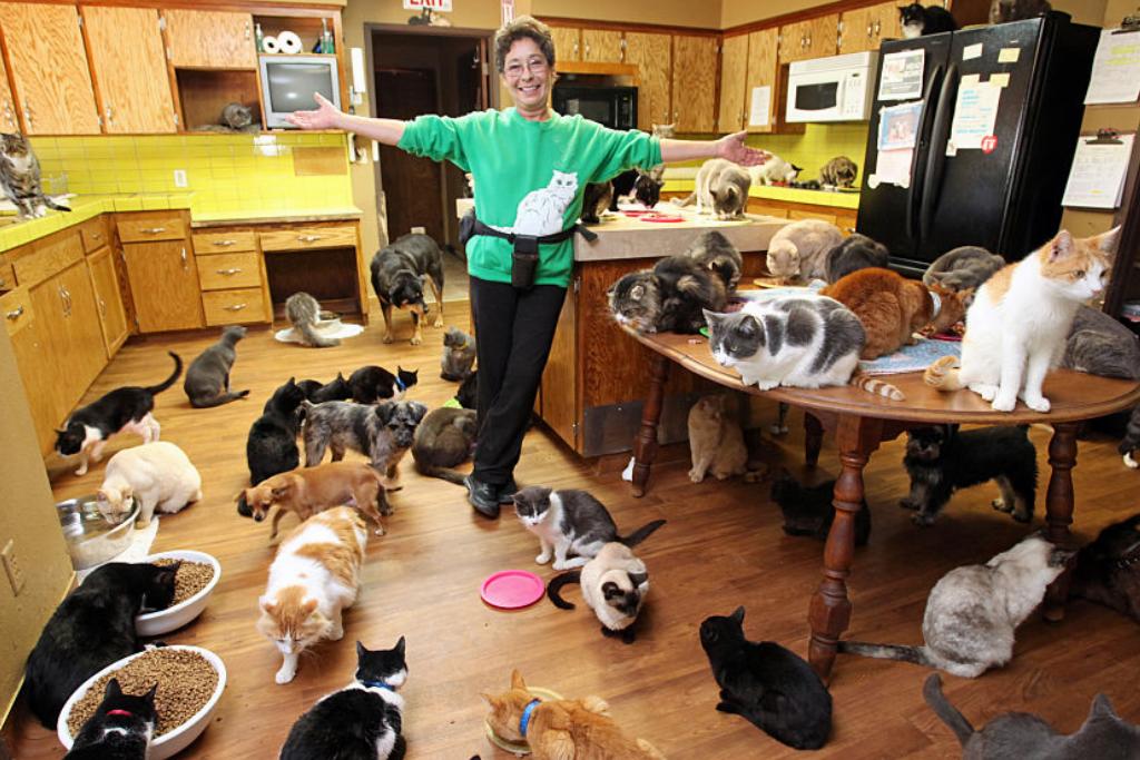 cat-lady A cat owners spreads her arms to show off the dozens of cats in her home.
