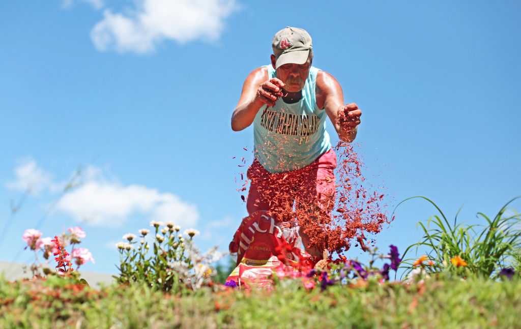 man-sprinkling-mulch A man sprinkles mulch over a garden.