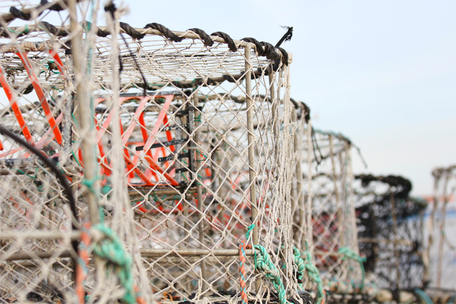 crab-cages-lined-up-on-boat-83046