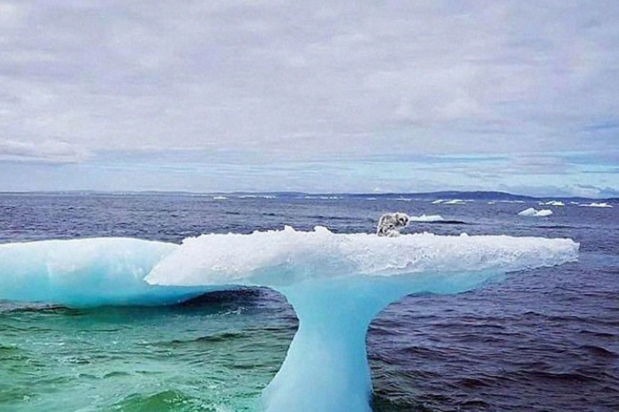 fisherman-iceberg-mystery-discovery-12670