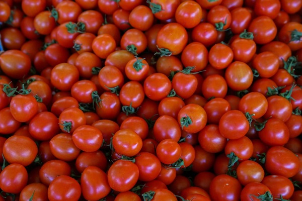 23 Alimentos Saludables 7 23 Alimentos Saludables 7