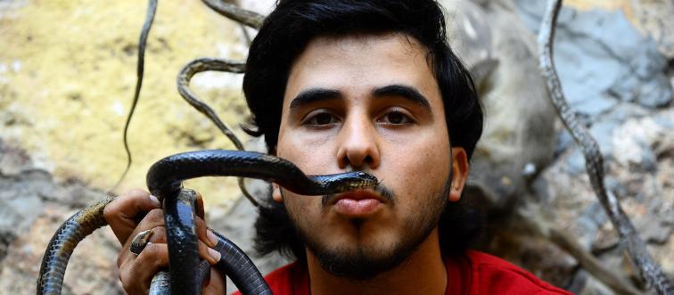 A man holds up a snake.