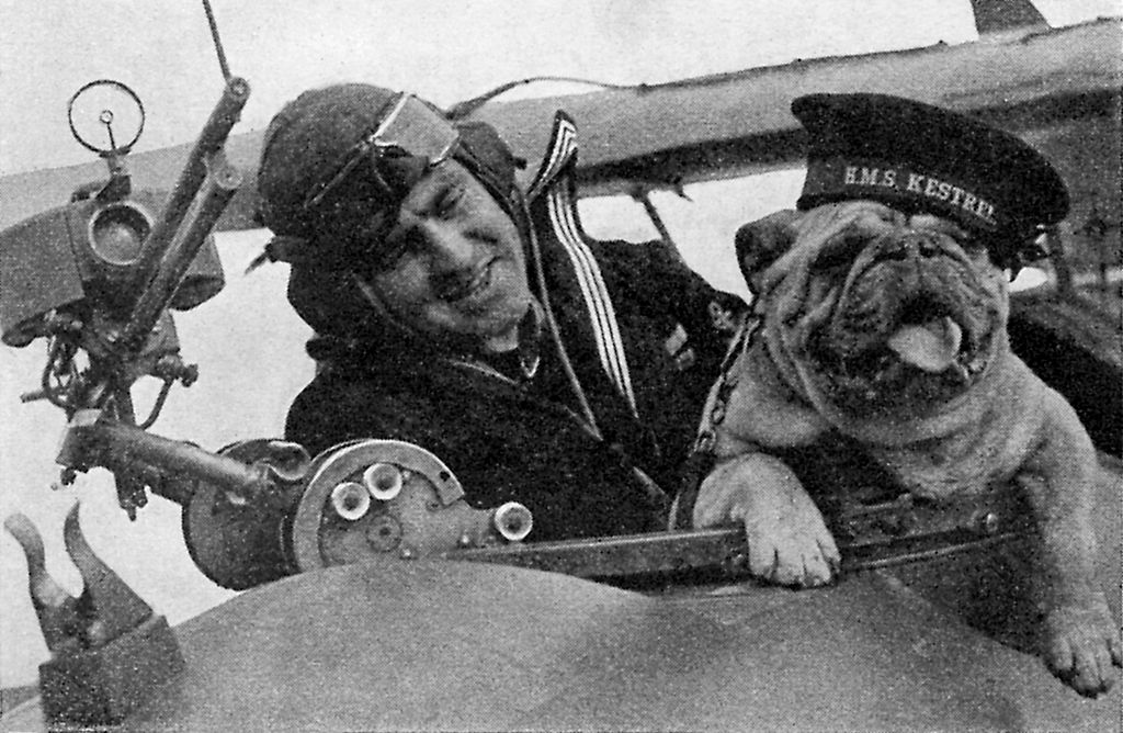 pilot with dog 