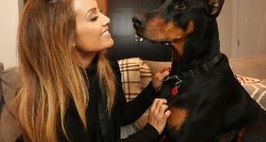 Reliable Dog Breeds That Make The Best Guard Dogs For Your Home (Fiercely Protective Pups)