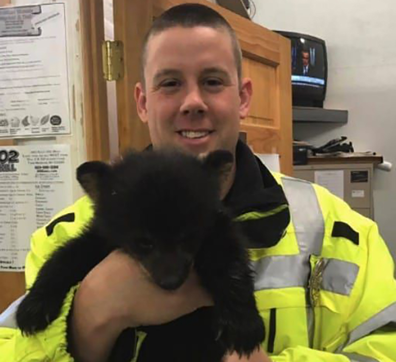 officer-holding-baby-bear