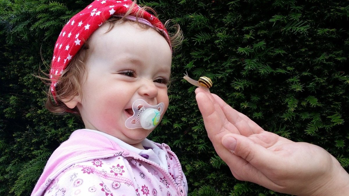 pacifier pacifier