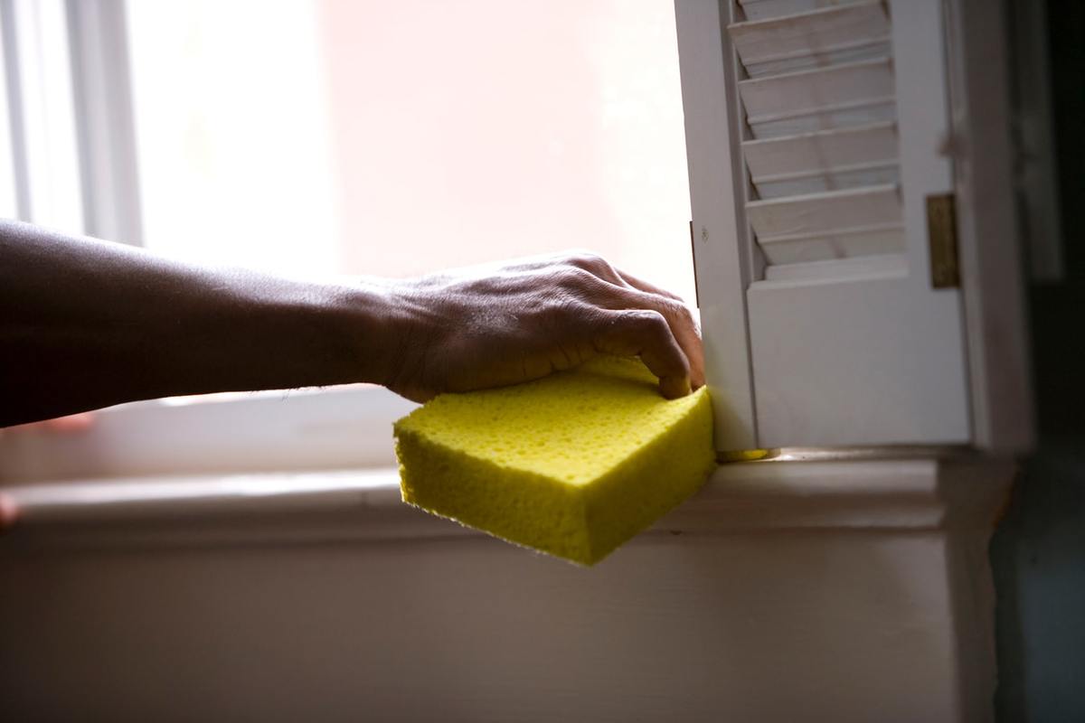 a sponge up close to a sponge