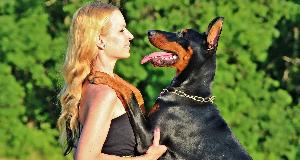 Man’s Biggest Friend: Large Dog Breeds That Are Great Companions