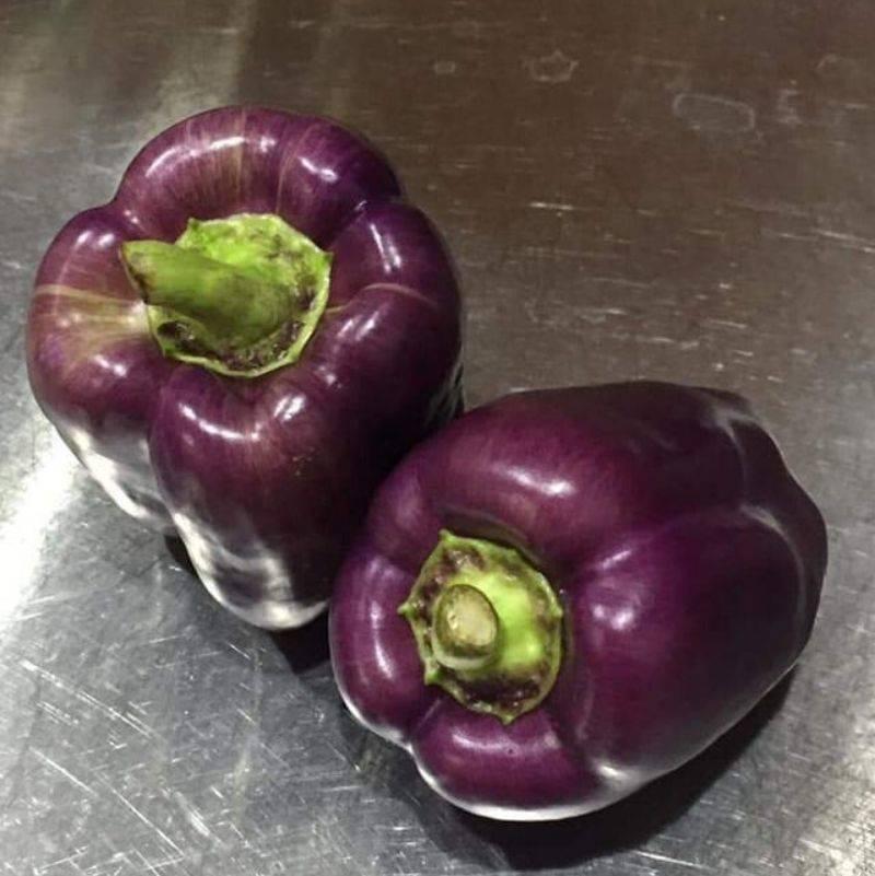 someone made purple peppers 