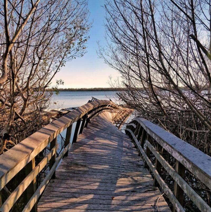 a bridge that got twisted in a storm