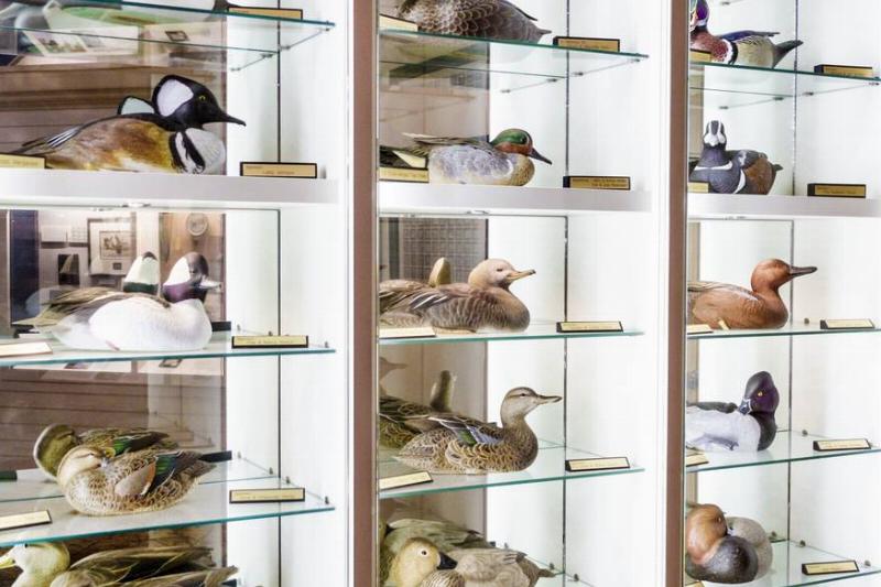 Hand-Carved Duck Decoys Hand-Carved Duck Decoys