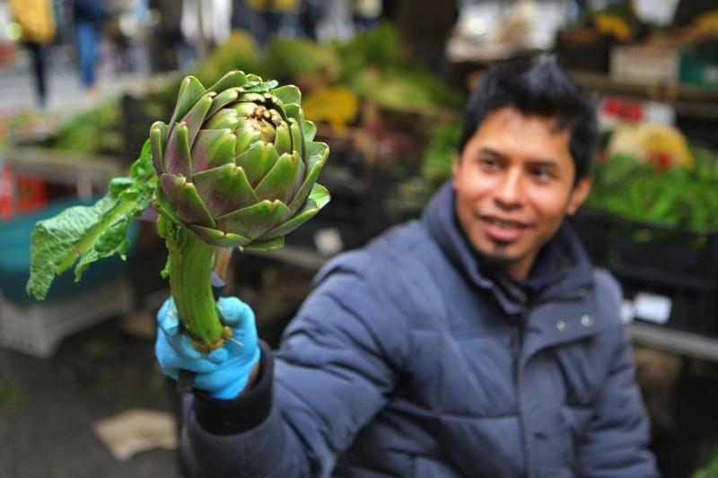 artichoke - 917582506 A man holds an artichoke at a market.
