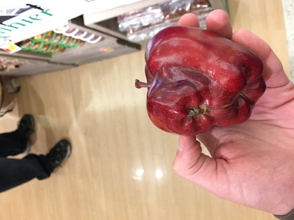 an apple with a tiny apple in it 