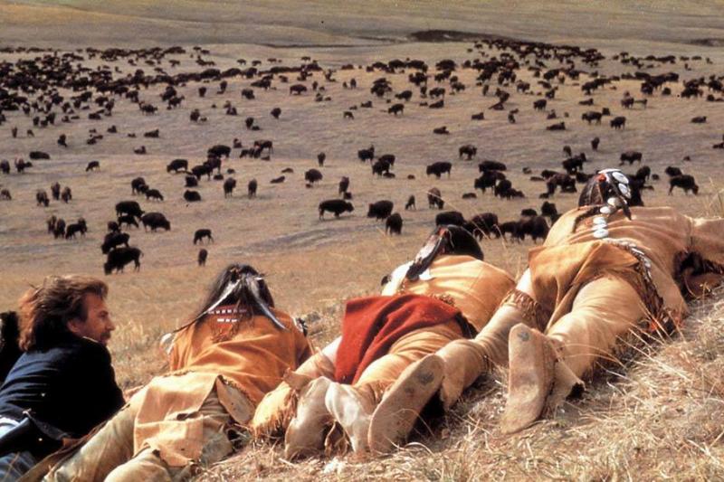 Costner looking at a bison herd
