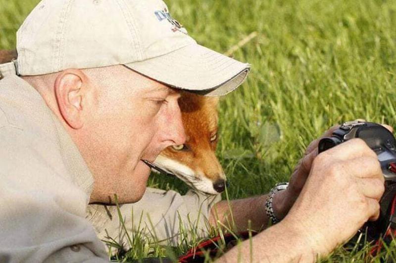 fox-checks-out-camera-31434