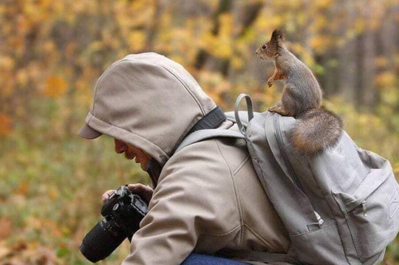 squirrel-help-take-photos-20989