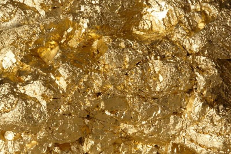 He Gathered Some Samples To Show His Friends