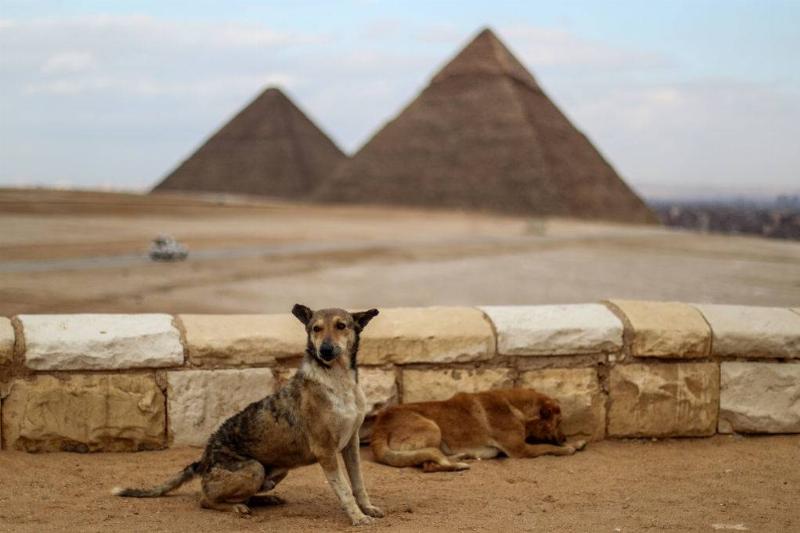 GettyImages-1206946953