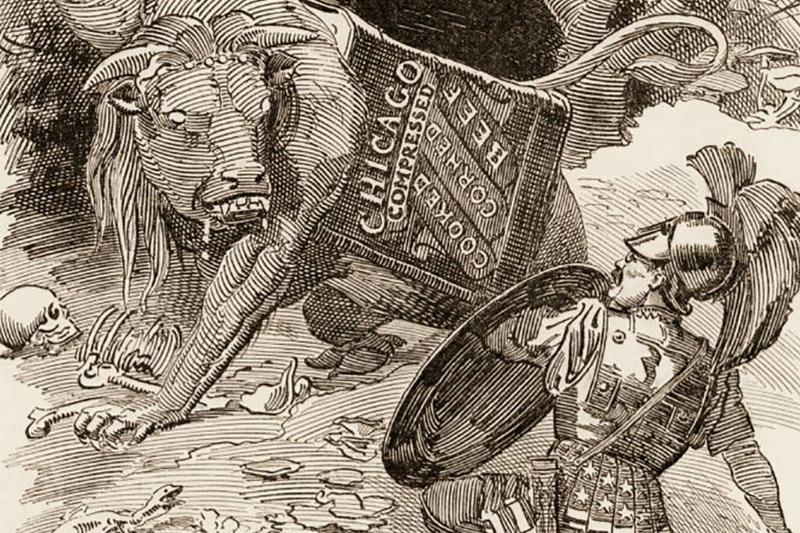 Political cartoon of Roosevelt 