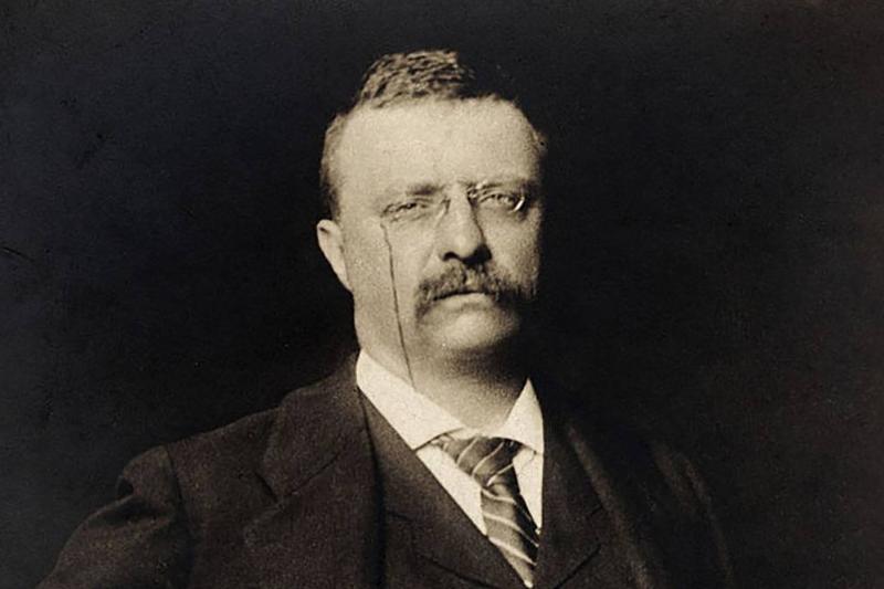 Portrait of Roosevelt 