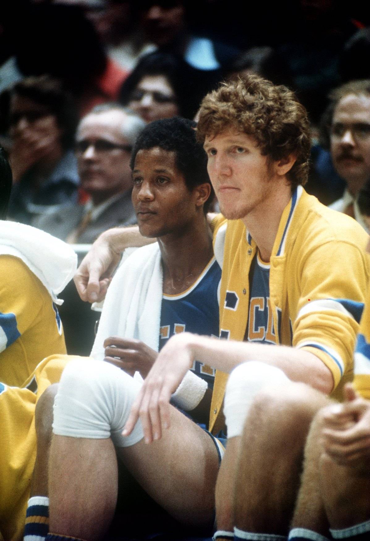 bill walton ucla