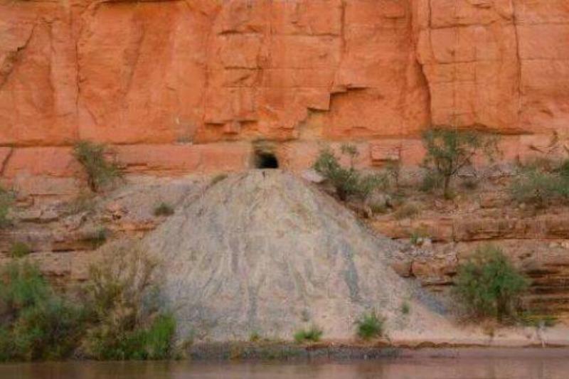 Peck Had Dreams Of Gold