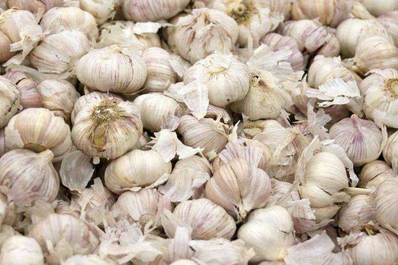 garlic 1209894450 a large pile of garlic