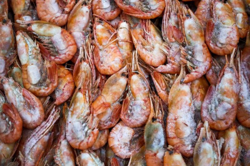 shrimp 1209101742 uncooked shrimp in a pile