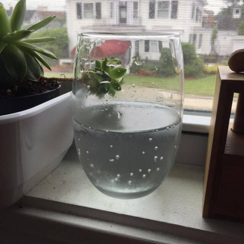 a cup looks like its floating on the ledge 