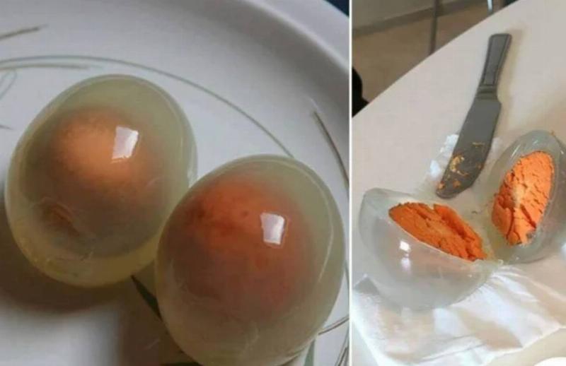 hard-boiled penguin egg has orange yolk and clear whites