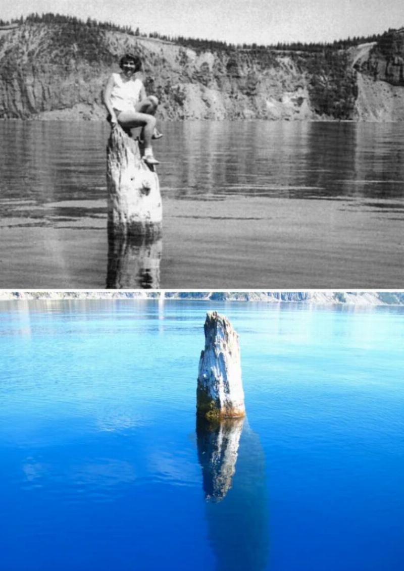 woman on tree trunk sticking vertically out of water in middle of the lake