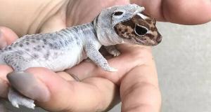 30+ Times People Captured Weird And Bizarre Natural Phenomena With A Camera (Take A Closer Look)