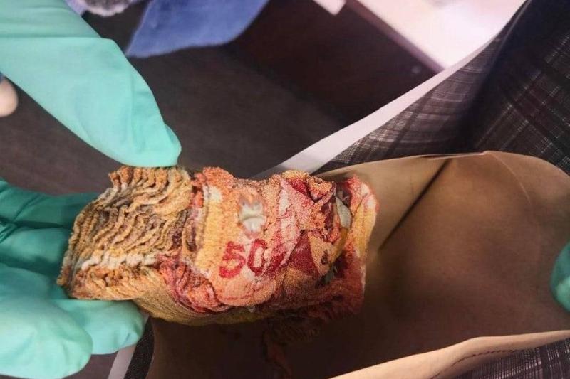 microwaving your money