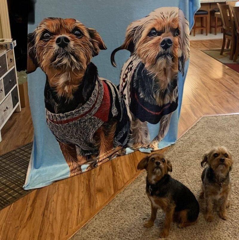 someone ordered a blanket from a sketchy website and it turned out well 