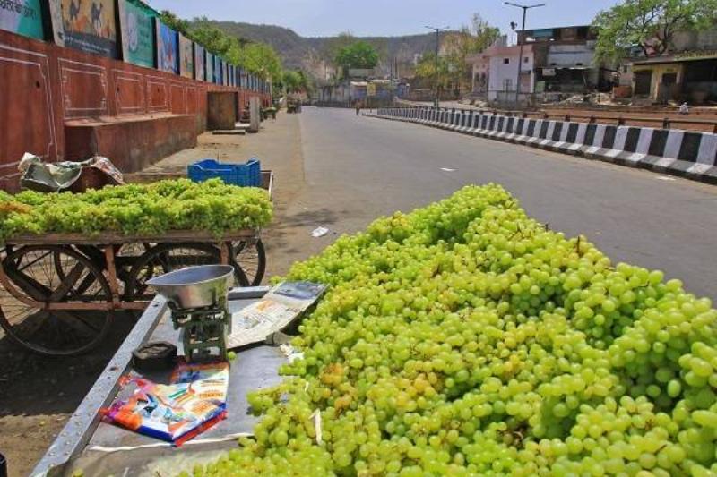 12 Alimentos Insanos 14 12 Alimentos Insanos 14