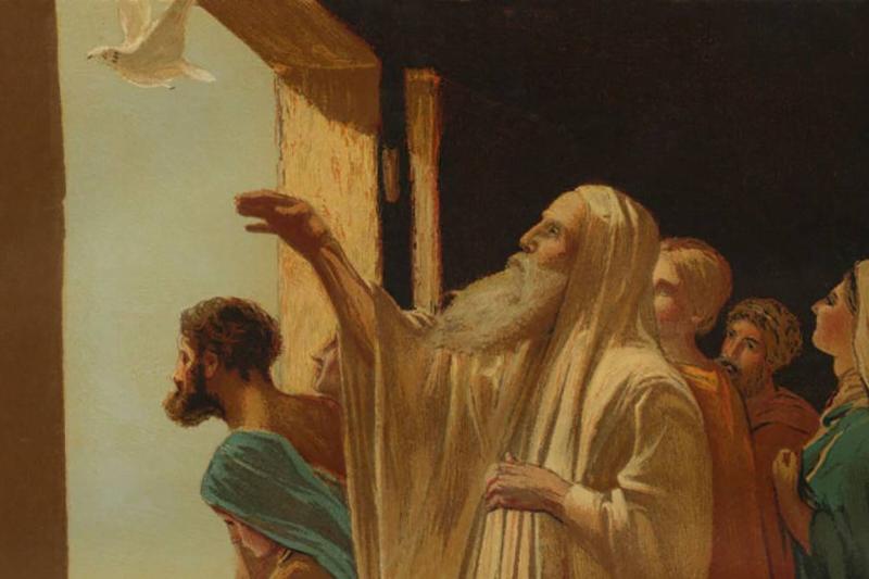 Man releasing a dove