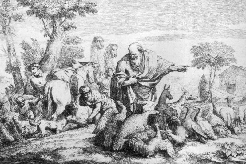 Noah with the animals 