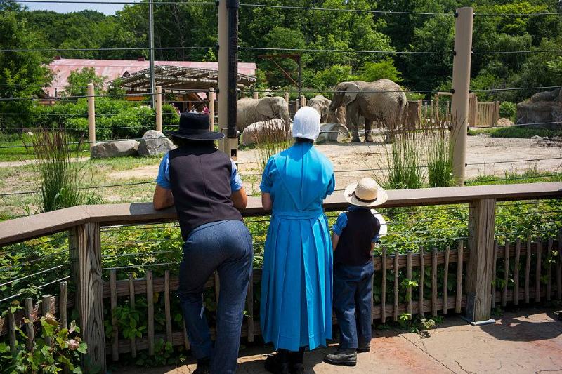 GettyImages-481425302