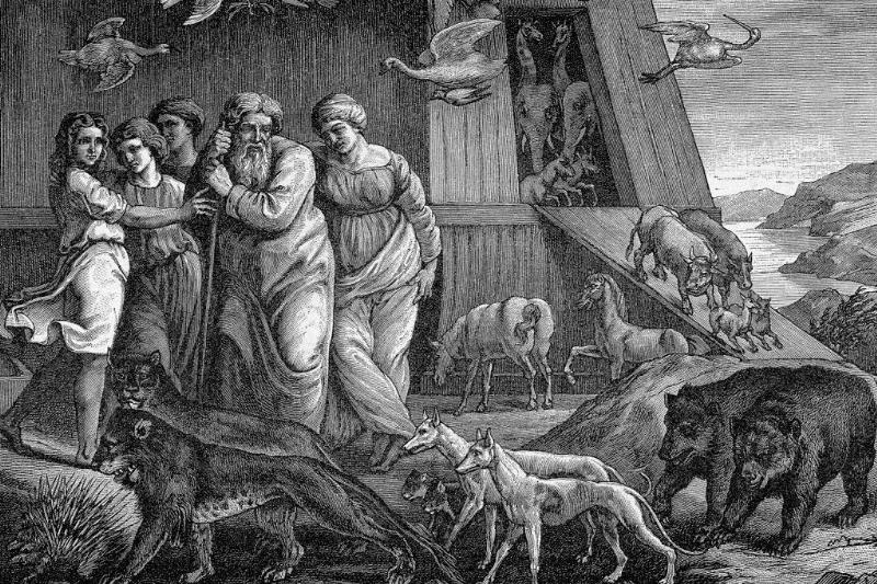 Noah leaving the Ark 